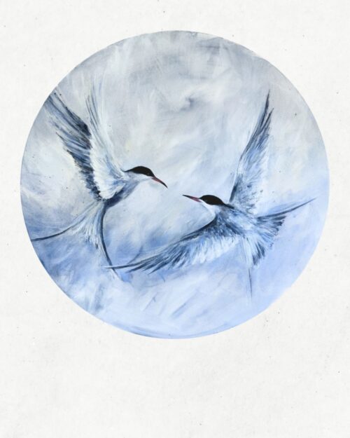 Soar III